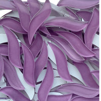 Pétalas Onduladas Orquídea