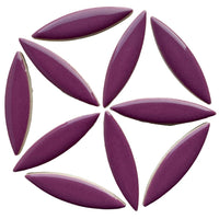 Elipse Roxa