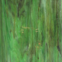Placa de Vidro Camuflagem Esfumado