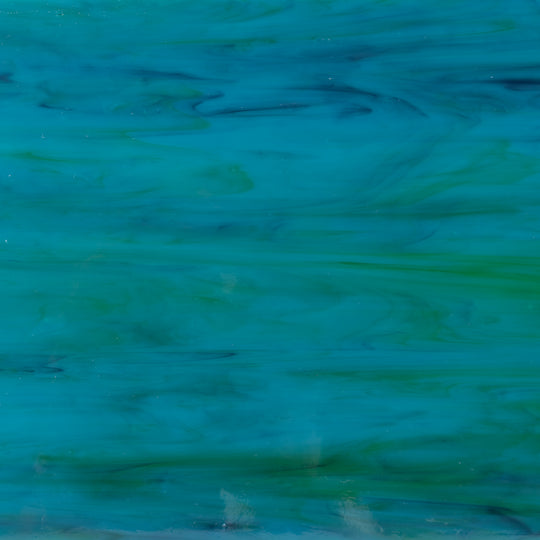 Glass Plate Parrotfish