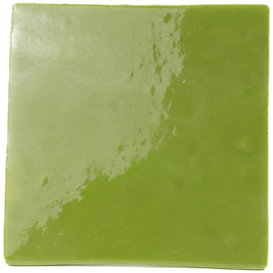 Morassutti Smalti Vert Mousse 4