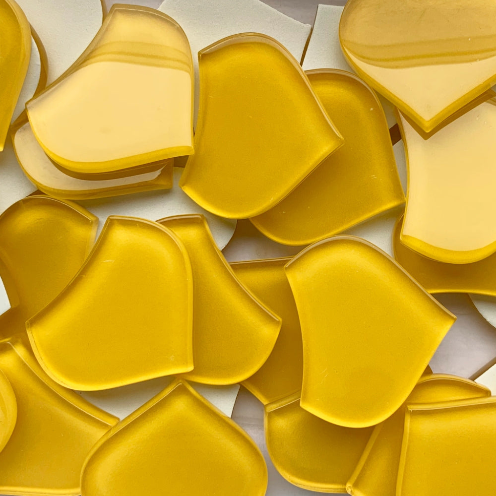 Medium Fischcale Corn