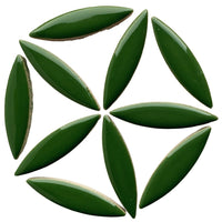 Ceramic Ellipse  Eucalyptus