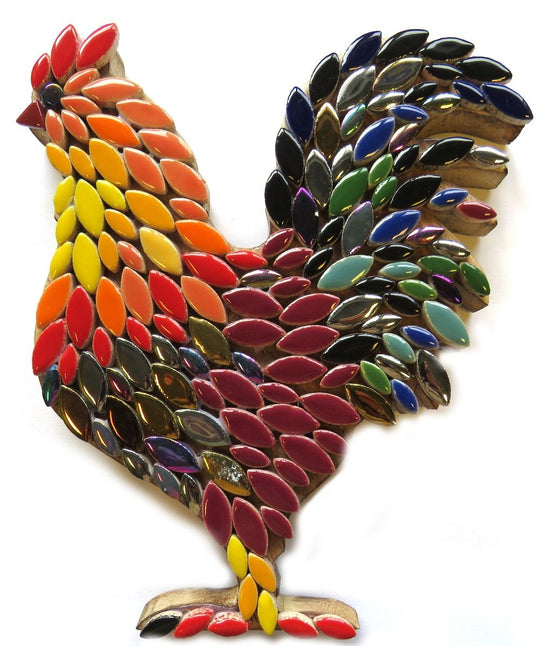 Oscar el gallo