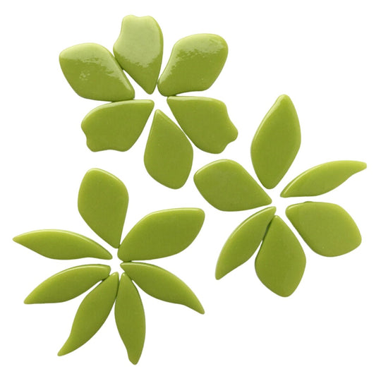 Pétalas de Vidro Verdes Novas