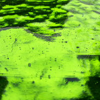 Verre Mosaique - glass mosaic -Glasmosaik-glasmozaïek-Gekleurde Spiegel Zeewier - mosaicshop