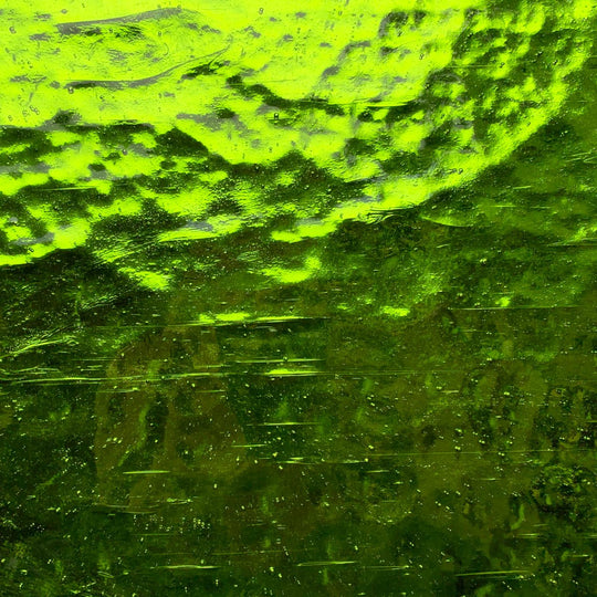 Espelho Colorido Alga