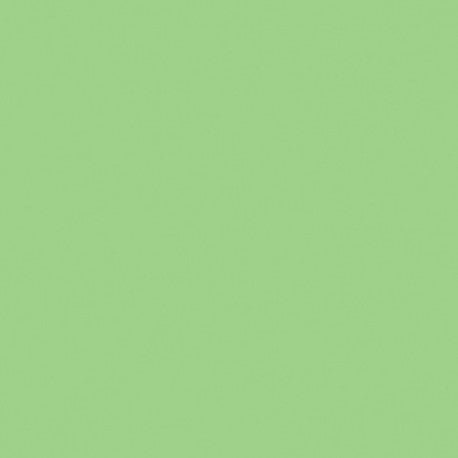 Mosa-19900 Papillon Vert 15cm — Mosaicshop
